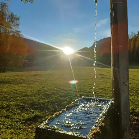 Biobauernhof Oberreith Forstau (Salzburg)