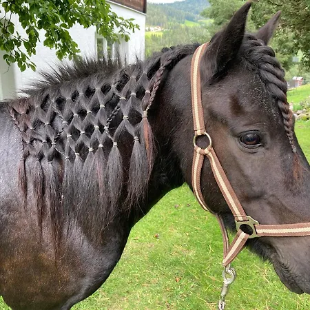 Biobauernhof Oberreith *