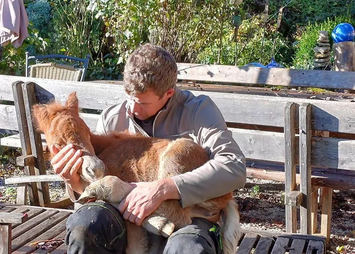 Biobauernhof Oberreith Διαμέρισμα Forstau (Salzburg)