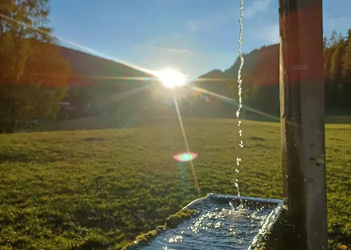 Biobauernhof Oberreith Forstau (Salzburg)