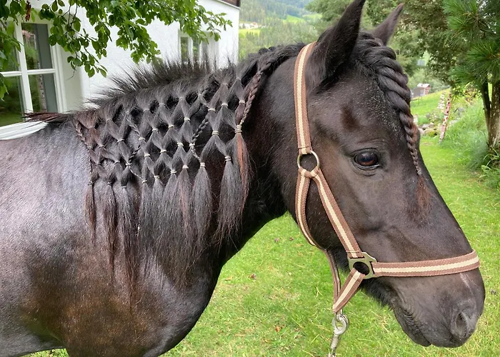 Biobauernhof Oberreith *